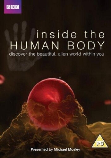 Внутри человеческого тела постер