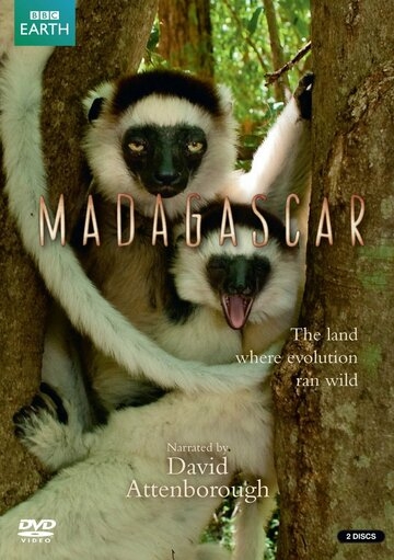 BBC: Мадагаскар постер