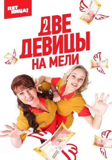 Две девицы на мели постер